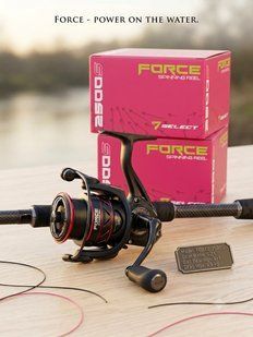 Select Forse 2000s